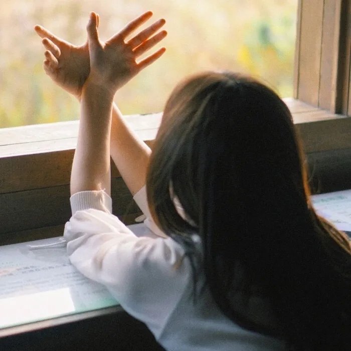 猪猪侠·不可思议的世界